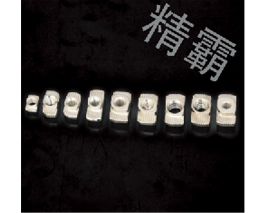 鄭州精霸-T型螺母塊